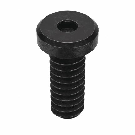 Low-Profile Standard Socket Head Cap Screws