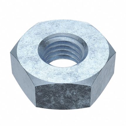 Standard Hex Nuts