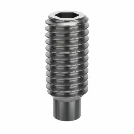 Dog Point Set Screws