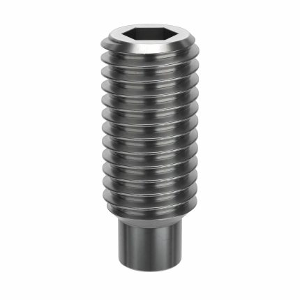 Dog Point Set Screws