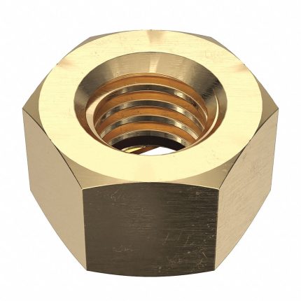 Acme Hex Nuts