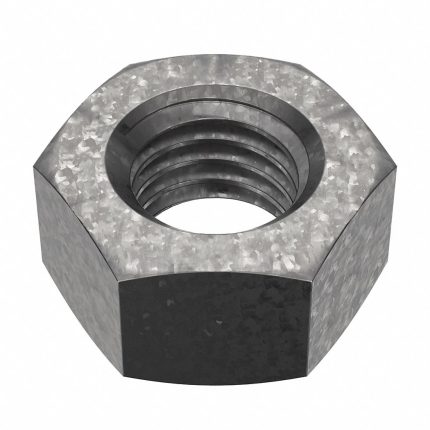 Standard Hex Nuts