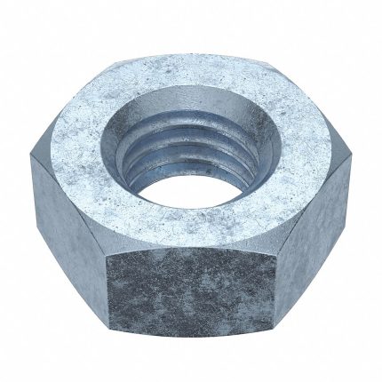 Standard Hex Nuts