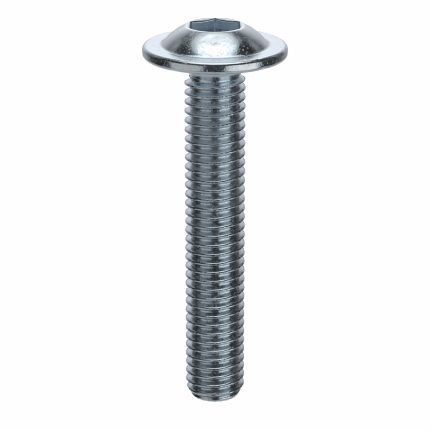 Flanged Button Head Socket Cap Screws