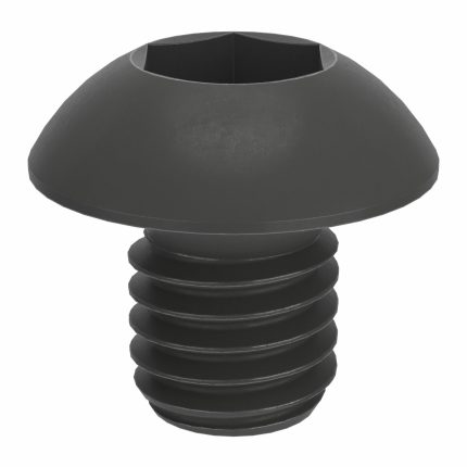 Button Head Socket Cap Screws