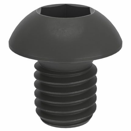 Button Head Socket Cap Screws