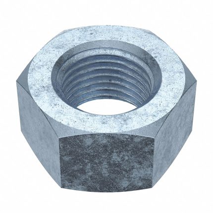 Standard Hex Nuts