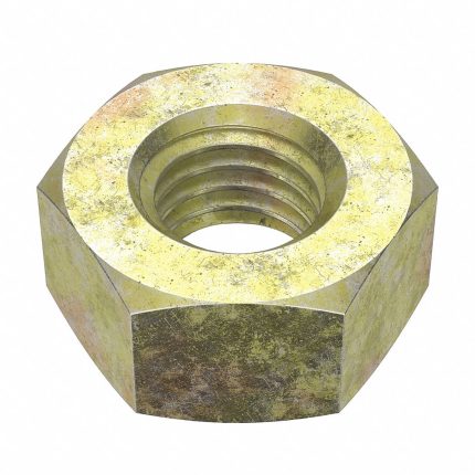 Standard Hex Nuts