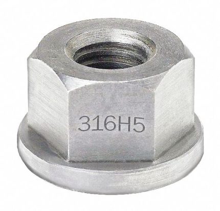 Standard Flange Nuts