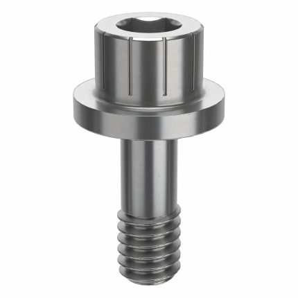 Flanged Standard Socket Head Cap Screws