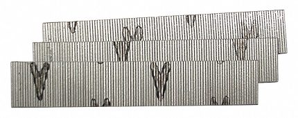 Collated Trim, Pin, Finishing, & Brad Nails