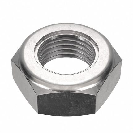 Nylon Insert Lock Nuts