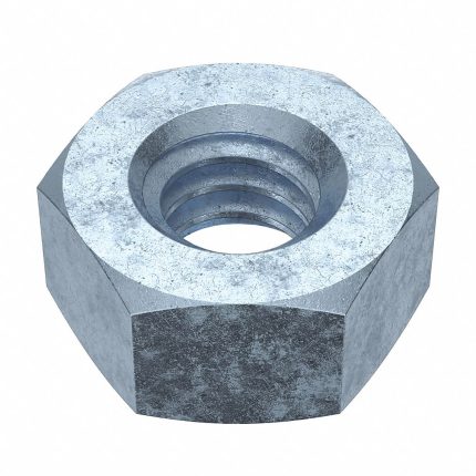 Standard Hex Nuts