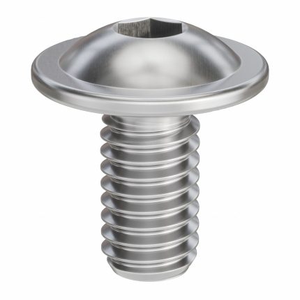 Button Head Socket Cap Screws