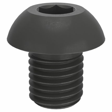 Button Head Socket Cap Screws