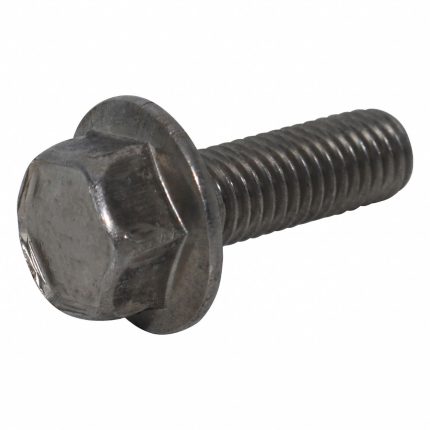18-8 Stainless Steel 12-Point Flange Head Cap Screws