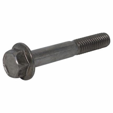 18-8 Stainless Steel 12-Point Flange Head Cap Screws